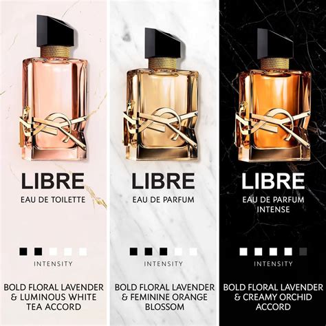 perfumes like libre|ysl libre perfume 1 oz.